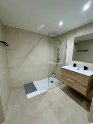 a bathroom with a shower and a sink and a mirror at Loft Premium en Barcelona in Barcelona