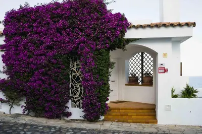 a white building with purple flowers on it at Exclusive Mediterranean Panorama in Sant Pol de Mar in San Pol de Mar