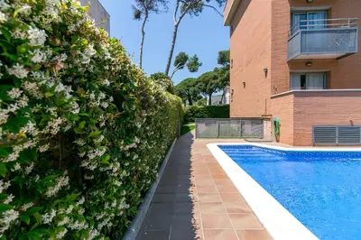 a hedge with white flowers next to a swimming pool at Aparthotel Bardon in Castelldefels