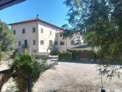 a dog standing in front of a house at El Freixe de l'Ylla in Els Hostalets