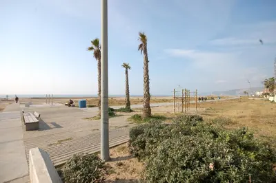 a beach with palm trees and an empty boardwalk at Lets Holidays New Flat Beachfront In Castelldefels in Castelldefels