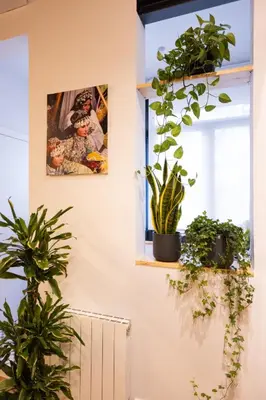 a room with potted plants and a picture on the wall at Poble Sec Charming Apartment in Barcelona