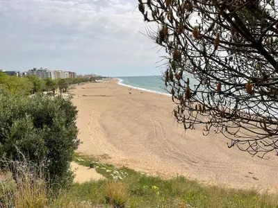 a view of a sandy beach with the ocean at Flat with birdsongs & character! in Calella