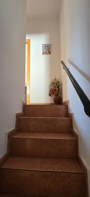 a stairway with a potted plant on the wall at Metrópolis in Barcelona