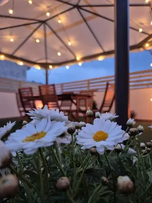 a bunch of white flowers sitting in a vase at Gran terrassa al cantó del mar in Canet de Mar