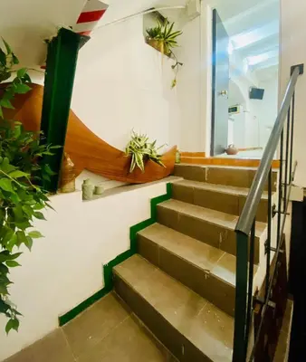 a set of stairs with potted plants on the wall at 11 Principal Barca in Barcelona