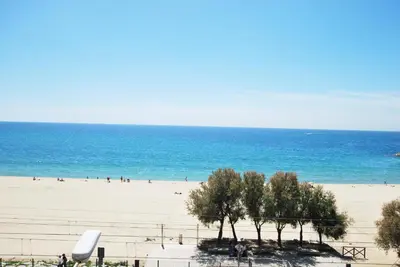 a beach with a group of trees and people on it at Premia Palm View in Premiá de Mar