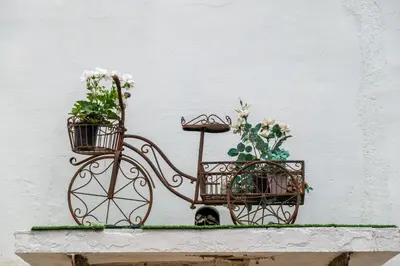 a bike with flowers in baskets on a wall at TURISME RURAL HORTA del PI in Cabrera de Mar