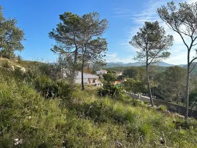 a view of a hill with trees and a road at Son Roca Ribes Guest House in Sant Pere de Ribes