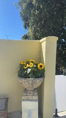 a vase filled with yellow flowers sitting on a wall at Can cruspinera WITH 6BEEDROOM in Tiana