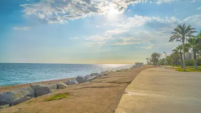 a sidewalk next to the ocean with a palm tree at Vivalidays Margarita - Pineda de Mar in Pineda de Mar