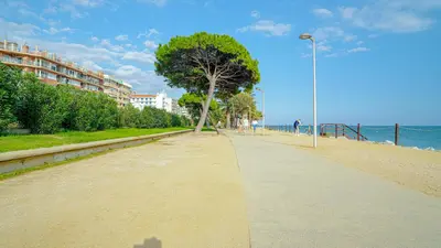 a sidewalk next to the beach with a tree at Vivalidays Margarita - Pineda de Mar in Pineda de Mar