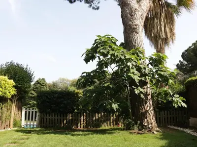a tree in a yard next to a fence at Winahost Loft en casa compartida en Cabrils in Cabrils