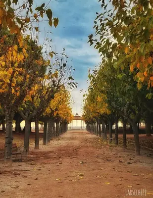 a row of trees with a bridge in the distance at Habitación premium in Vilanova i la Geltrú