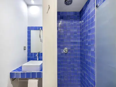 a blue tiled bathroom with a toilet and a shower at Farmhouse in Anoia near Montserrat in Capellades