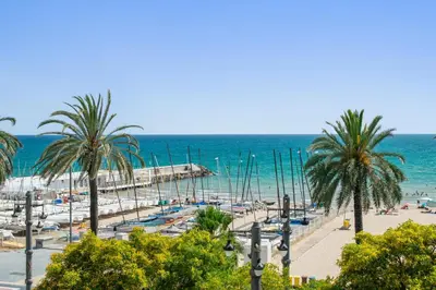 a beach with palm trees and boats in the water at Sunset Beachfront in Sitges in Sitges