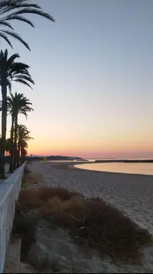 a beach with palm trees and the ocean at sunset at Vilanova Beach Stay in Vilanova i la Geltrú