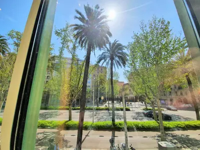 a view of a palm tree from a bus window at DreamKeys Barcelona City in Barcelona
