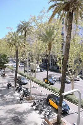 a group of motorcycles parked in a parking lot with palm trees at DreamKeys Barcelona City in Barcelona