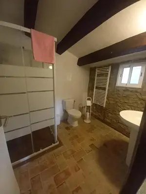 a bathroom with a shower and a toilet and a sink at Hostal Rural Mas Blanc in San Martín de Centellas