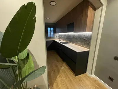 a kitchen with a sink and a plant in a room at Apartamento de lujo a pie de metro in Terrassa
