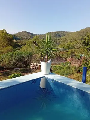 a potted plant sitting on top of a swimming pool at El Portal, 12 mins from Sitges in Olivella