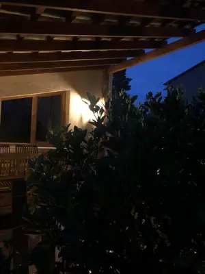 a tree in front of a house at night at Apartament rural in San Martín Sarroca