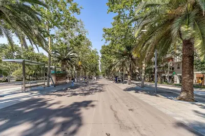 a street lined with palm trees on a sunny day at Canela Homes BARCELONA GLÒRIES in Barcelona