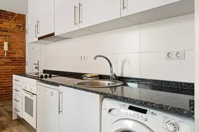 a white kitchen with a sink and a dishwasher at Sants Apartment in Barcelona