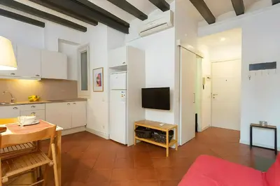 a kitchen and living room with a table and a tv at Tranquil Cozy with balcony Plaça Catalunya. RI. in Barcelona