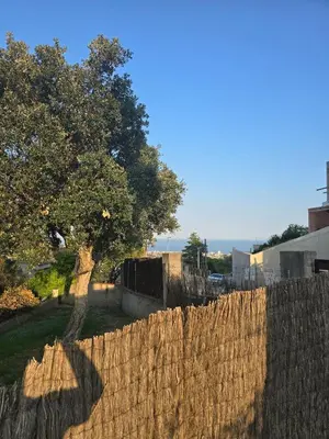a stone fence with a tree behind it at Can Marisu, Casita privada in Cabrils