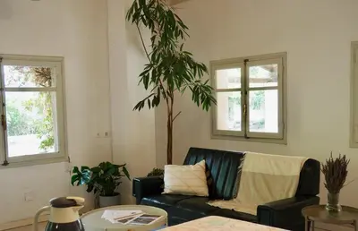 a living room with a couch and a tree at Accommodation in a 13th century Catalan farmhouse in Terrassa