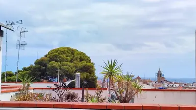 a tree on the roof of a building at Cosy flat in pretty seaside town in Sitges