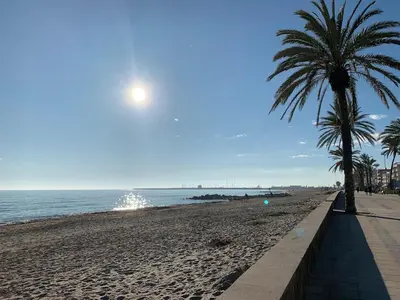 a beach with two palm trees and the ocean at Atico espectacular Cunit in Cunit