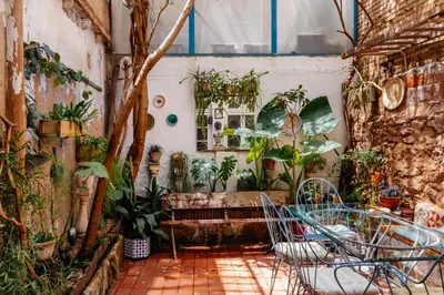 a room filled with lots of plants at Vintage home in Barcelona