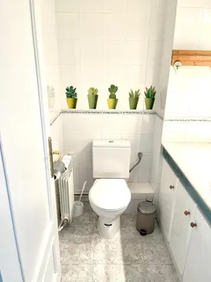 a small bathroom with a toilet and potted plants at Camins de Montserrat in El Bruc