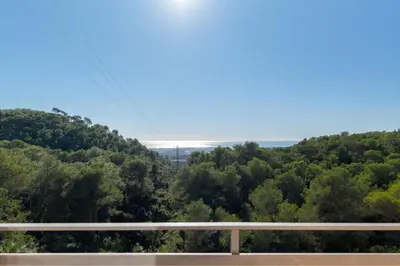 a view of the forest from a highway at Mima House with Pool in Canyelles