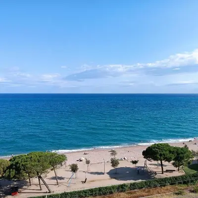 an aerial view of a beach with palm trees and the ocean at Vivalidays Andrea - Pineda de Mar in Pineda de Mar