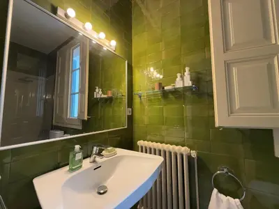 a green bathroom with a sink and a mirror at Ca La Manso in Sitges