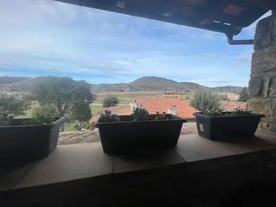 four potted plants sitting on a window sill at Cal correu Hort - Xida in Collsuspina