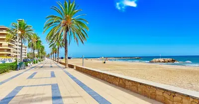 a sandy beach with palm trees and the ocean at Ven una temporada al centro de Barcelona in Barcelona