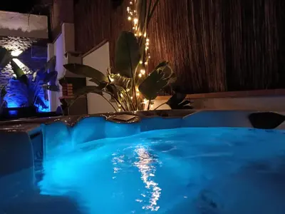 a hot tub with a plant in a room with lights at Can Masia in Olivella