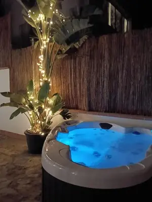 a hot tub in a room with a plant and lights at Can Masia in Olivella