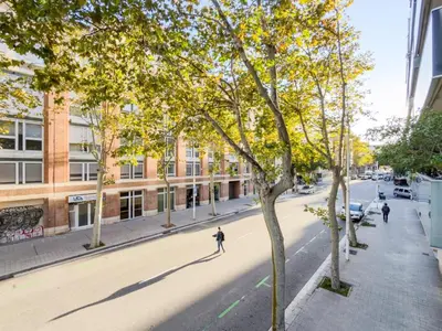 a tree on a city street with a building at Bed BCN Vila Olímpica. in Barcelona