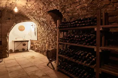 a wine cellar with a bunch of wine bottles at LuxRural Montserrat | Piscina con Vistas Únicas in Marganell