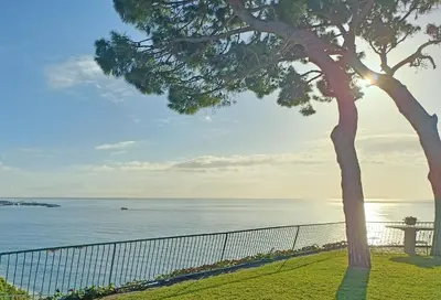 a tree and a bench next to the ocean at Premium Habitat Les Villes in Arenys de Mar
