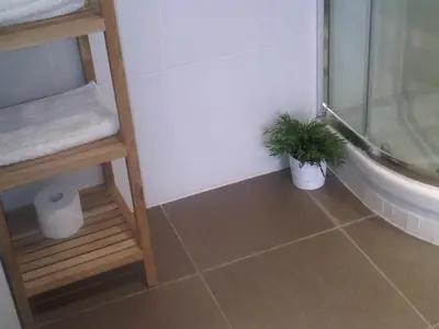 a bathroom with a shower and a plant on the floor at 3-Apartament full equiped, next to Mobile Congres in Hospitalet de Llobregat