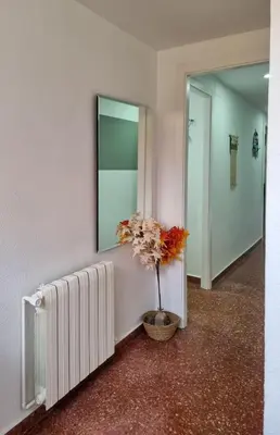a plant in a vase in a hallway with a mirror at Voramar, Apartamento a primera línea de mar y con piscina in Canet de Mar
