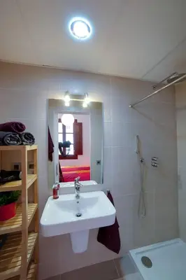 a bathroom with a sink and a shower and a mirror at barceloneta street apartment 1 in Barcelona
