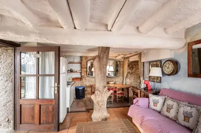 a living room with a tree in the middle at Masia Brugarolas in Castelltersol
